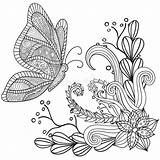 Artistic Butterfly Floral Patterned Ornamental Ethnic Drawn Frame Hand Coloring Zentangle Vector Preview sketch template