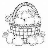 Pears Apples Illustrazione Pere Mele Raccolto Ringraziamento Canestro Ripe sketch template