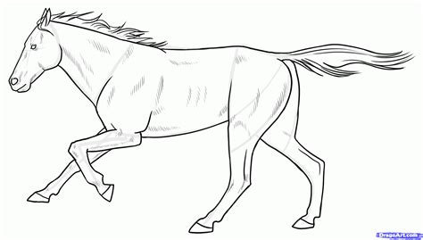horse drawing easy   horse drawing easy png images