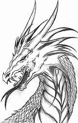 Dragon Drachen Bleistiftzeichnungen Cliparting Ausdrucken Malvorlagen Draak Drago Tekeningen Getdrawings Clip Draken Realistische K5worksheets Tatoo Dragón sketch template