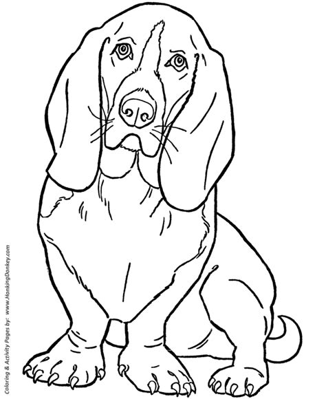 dog coloring pages printable basset hound coloring page sheet