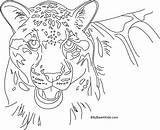 Leopard Snow Coloring Color Pages Popular Colouring Library Coloringhome sketch template