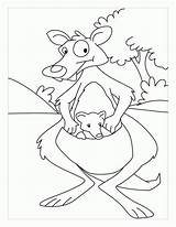 Coloring Kangaroo Pages Baby Mother Australia Mom Her Cute Animal Kids Kirby Printable Popular Books Print Library Coloringhome sketch template