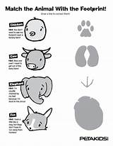 Animal Footprints Kids Tracks Match Animals Activities Nursery Clipart Woodland Clip Printable Their Cliparts Children Pages Coloring Related Them Track sketch template
