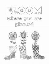 Planted Bloom Where Coloring Joditt Pages Library Printable sketch template