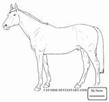 Icelandic Horse Getdrawings Drawing sketch template