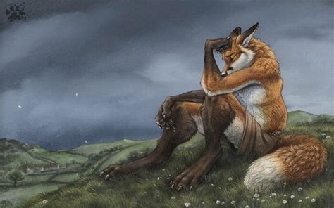 fox furry wallpaper wallpapersafari