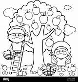 Harvesting Orchard Colorare Erba Impostato sketch template