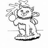 Christmas Cat Coloring Pages Getcolorings Printable sketch template