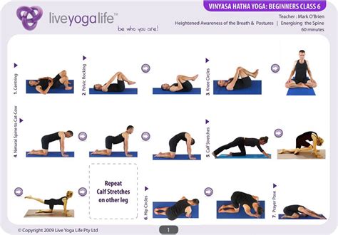 hatha yoga  beginners vinyasa hatha beginners complete set