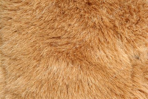 brown fur background texture stock photo  njnightsky
