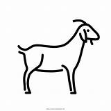 Capra Colorare Cabra Goat Ultracoloringpages sketch template