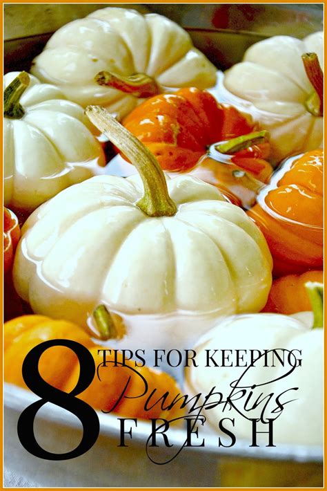 8 Tips For Keeping Pumpkins Fresh