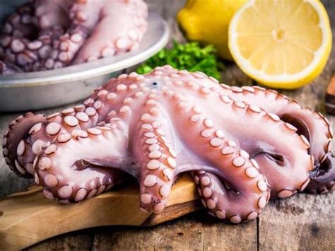 hook  size    spanish octopus