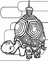 Coloring Turtle Tortoise Delicious Wecoloringpage sketch template