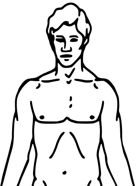 blank drawing  human body  getdrawings