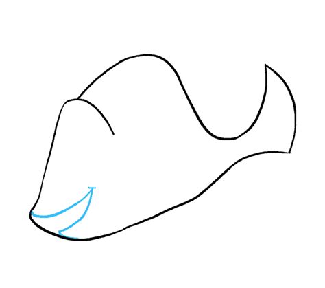 draw dory    easy steps easy drawing guides