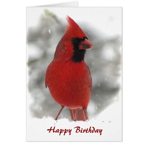 cardinal birthday card zazzlecom