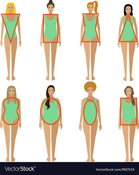 Different Female Body Types Woman Figure Shapes Vector Image