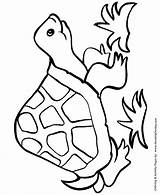 Coloring Pages Easy Kids Turtle Shapes Fun Drawing Activity Snapping Sheets Students Shape Happy Objects Different Printable Turtles Primary Honkingdonkey sketch template