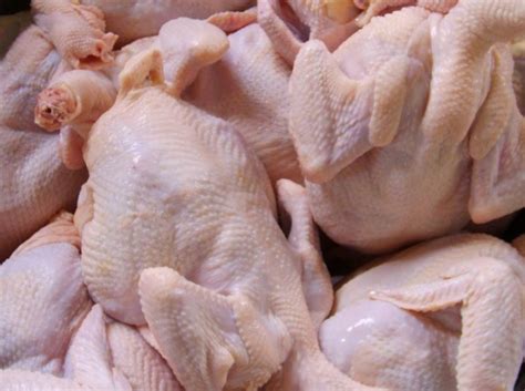 dua bulan  ton daging ayam masuk  maluku utara tandaserucom penting dibaca