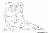 Pages Coloring Australian Shepherd Color Dog Cattle Getdrawings Printable Getcolorings sketch template