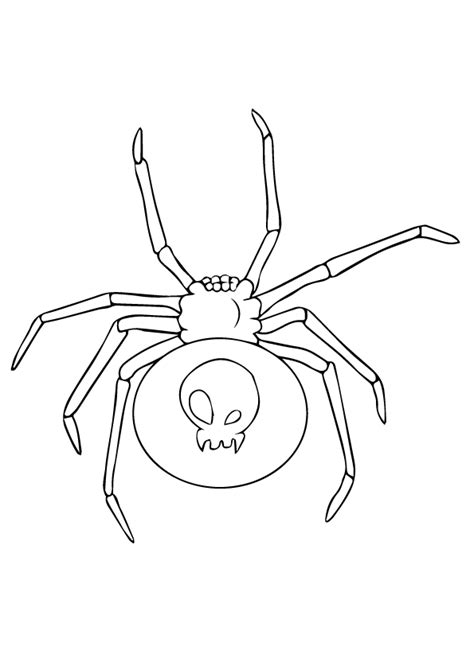 spider coloring pages books    printable