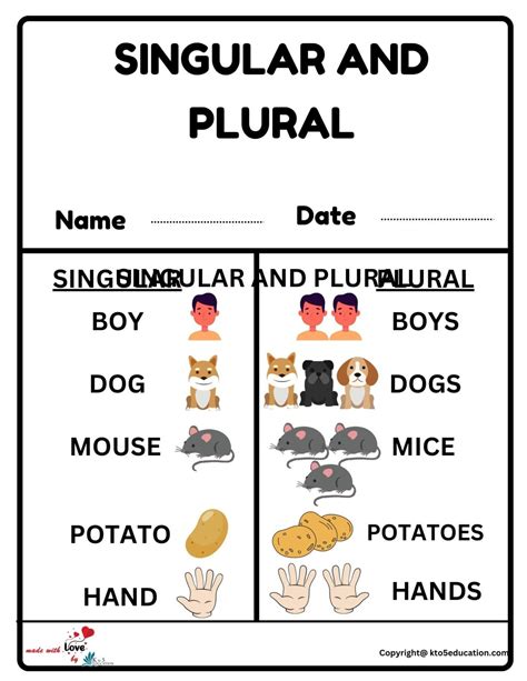 singular  plural worksheet  preschool