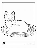 Cat Coloring Pages Yarn Jr Print Animal Kids Printer Send Button Special Only Click Use Pet Classroom sketch template