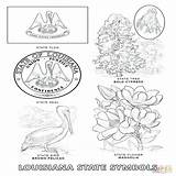 Coloring Pages State Symbols Arkansas Kansas Idaho Magnolia Tree Getcolorings California Chiefs City Electrical Drawing Printable Getdrawings Appealing Emerging Bird sketch template