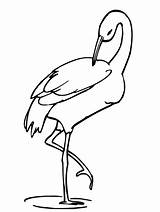 Crane Bird Drawing Leg Coloring Pages Stands Pencil Netart Getdrawings Sketch Realistic sketch template