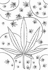 Marijuana Psychedelic Supercoloring K5worksheets sketch template