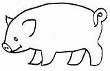 Porc Colorat Planse Desene Cochon Cochons Animale Porci Domestice Purcei Purcel Porcul Bretagne Amoureux sketch template