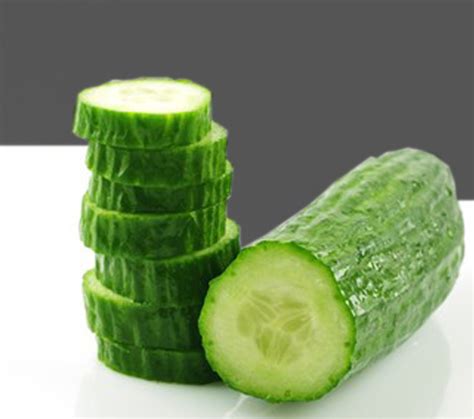 komkommer van hijfte bv coolstores import export agro kingsfieldvan hijfte bv