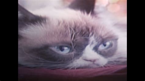Grumpy Cat Worst Christmas Ever Youtube