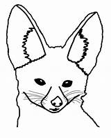 Desert Fox Drawing Coloring Head Pages Animals Netart Animal Getdrawings Drawn sketch template