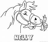 Nelly Sinterklaas Paard Naam sketch template
