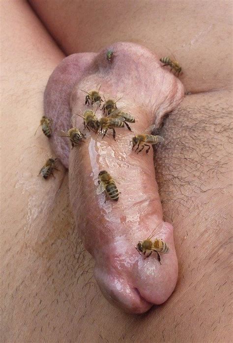 insects in my pussy mega porn pics