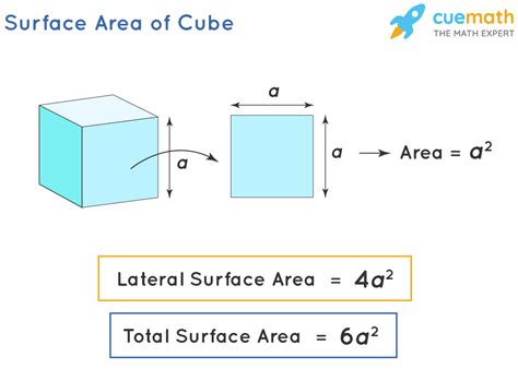 surface area  cube formula tsa  cube lsa csa  cube