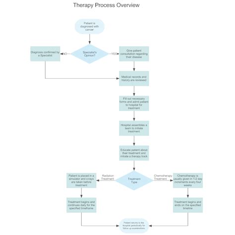 therapy process overview flowchart