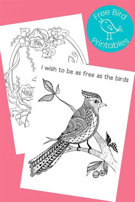 printable bird coloring pages crafts kids love