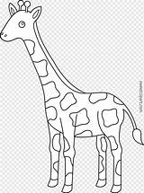 Giraffe Girafe Jerapah Mewarnai Giraff Colorable Reticulated Hitam Coloriages Colorier Dewasa Kelucuan Buku Mamalia Giraffes Cliparts Pngdownload Sweetclipart Pngwing Hmmm sketch template