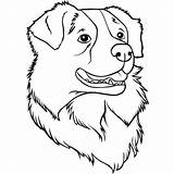 Australian Shepherd Drawing Coloring Pages Dog Dogs Sheets Small Puppy Drawings Color Outline Colouring Tattoos Clipart Sheet Tags Getdrawings Aufkleber sketch template