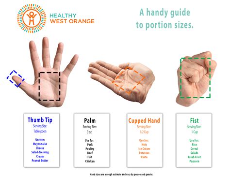 handy guide  portion sizes healthy west orange