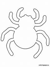 Halloween Para Molde Aranha Spider Template Moldes Pasta Escolha Coloring sketch template