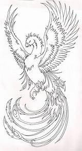 Phoenix Tattoo Coloring Bird Phönix Tattoos Pages Deviantart Drawing Colouring Stencil Der Erwachsene Für Vorlagen Zeichnung Japanese Color Aus Asche sketch template