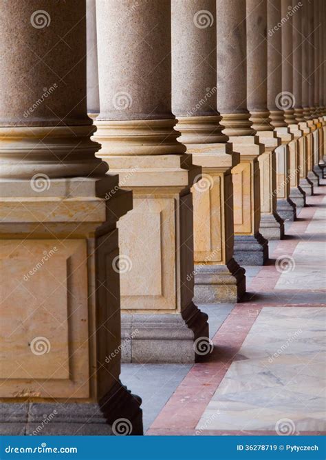 row  columns royalty  stock images image