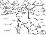 Olaf Coloring Pages Summer Getcolorings Frozens sketch template