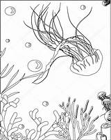 Coralli Colorare Immagini Medusa Jellyfish Corallo Bambini Corals sketch template
