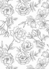 Floral Pages Colouring Printable Sheets Coloring Flower Adult Pattern Drawing Flowers Printables Color Gatheringbeauty Vintage Beautiful Colour Visit sketch template